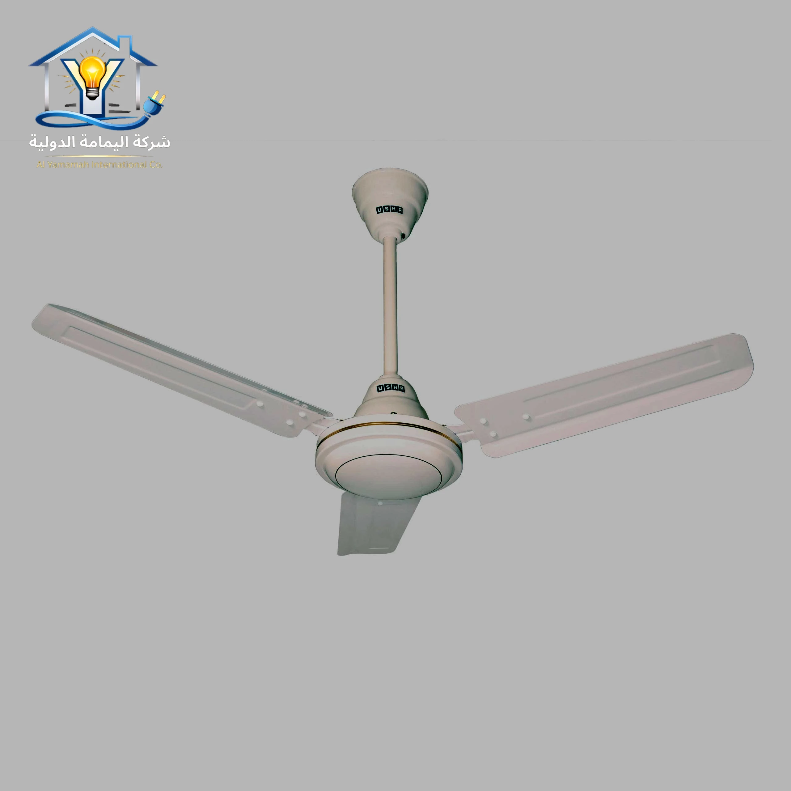 Ceiling Fan